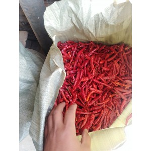 高辣干辣椒。北京红大量供货