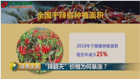 图片14