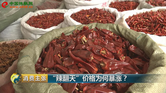 图片8