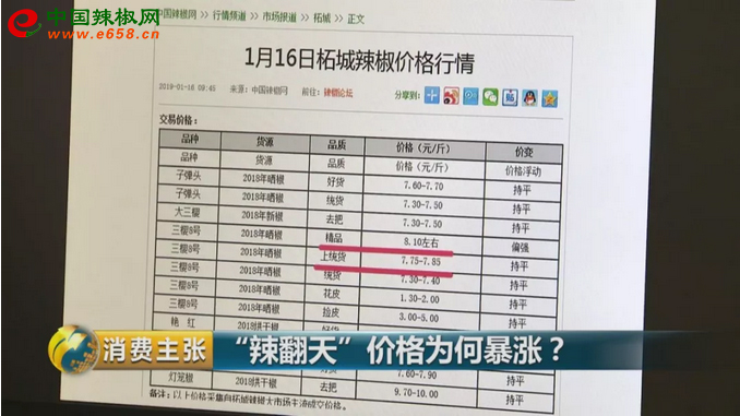 图片13