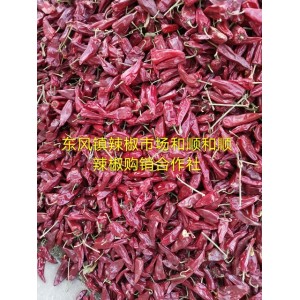 大量供应内蒙干椒，北京红，各种花皮