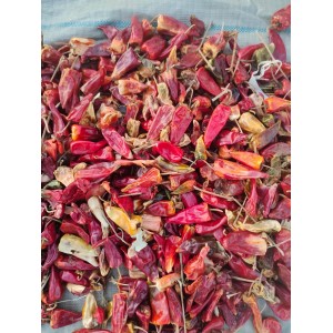 内蒙开鲁地区：北京红辣椒，花皮，千金红等