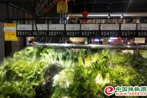 怀化城区：蔬菜量足价稳