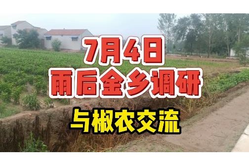7月4日雨后金乡调研—与农户交流 ()