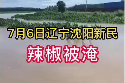 7月6日辽宁沈阳新民辣椒被淹 ()
