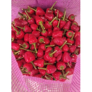 草莓椒、二荆条、艳椒