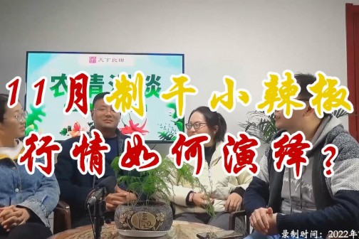 11月制干小辣椒行情如何演绎？ ()