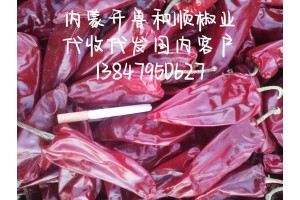 大量供应北京红干椒