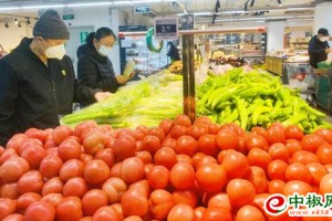 北京：蔬菜供应充足