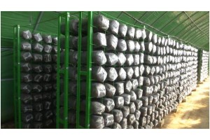 香菇架子尺寸蘑菇养殖网架铁丝网中久厂家