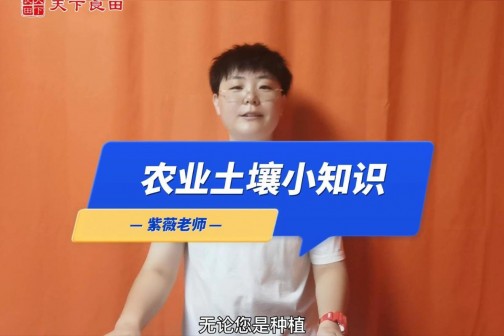 农业土壤小知识