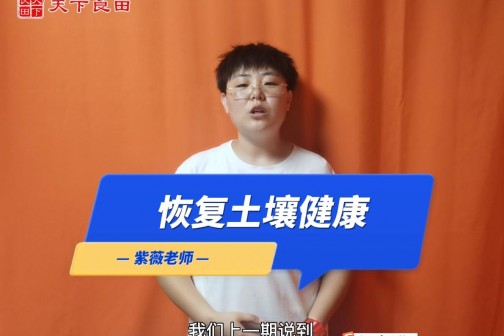恢复土壤健康