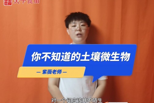 你不知道的土壤微生物