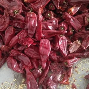 出售内蒙产千斤红30吨