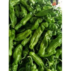 芜湖椒薄皮椒青辣椒大量上市