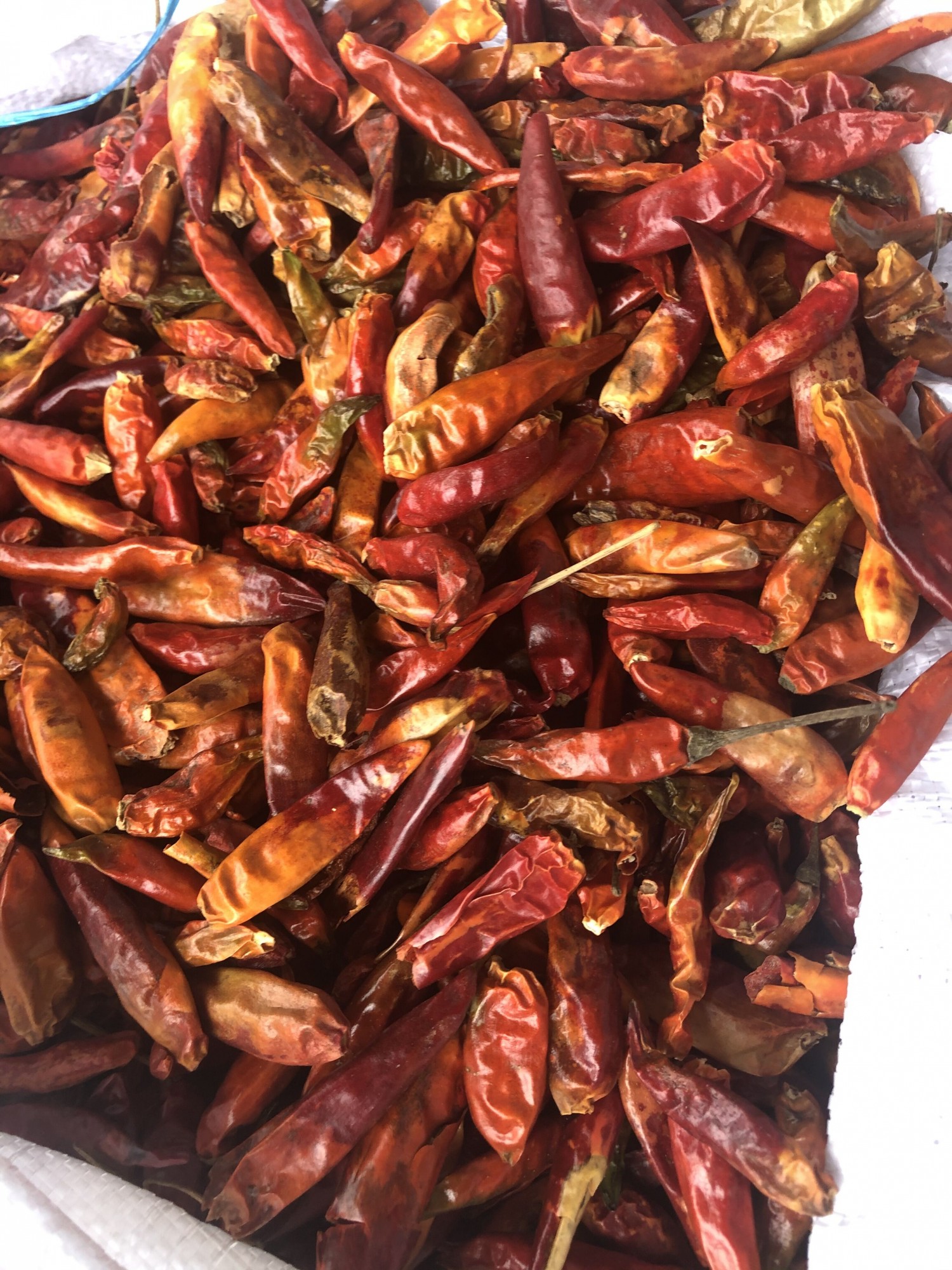 微信电话同号13733878880   货在临颍辣椒市场