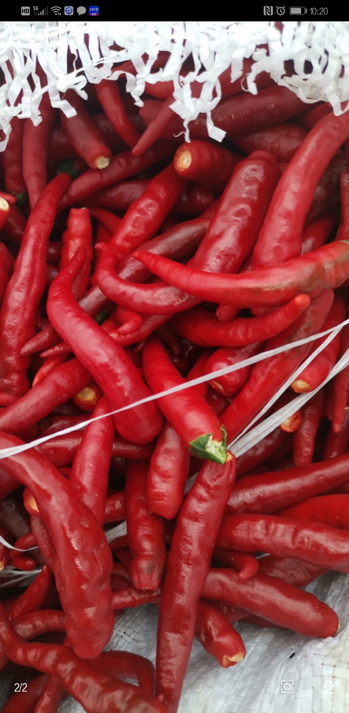 本人出售保银829