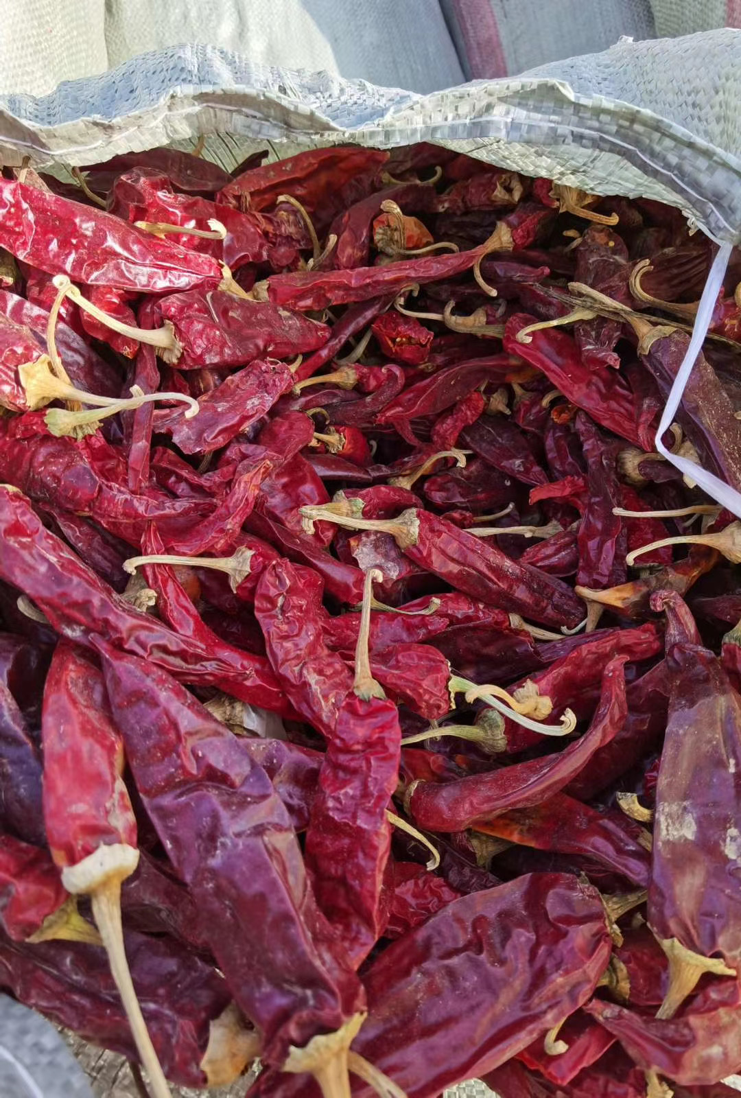 大量美国红干辣椒