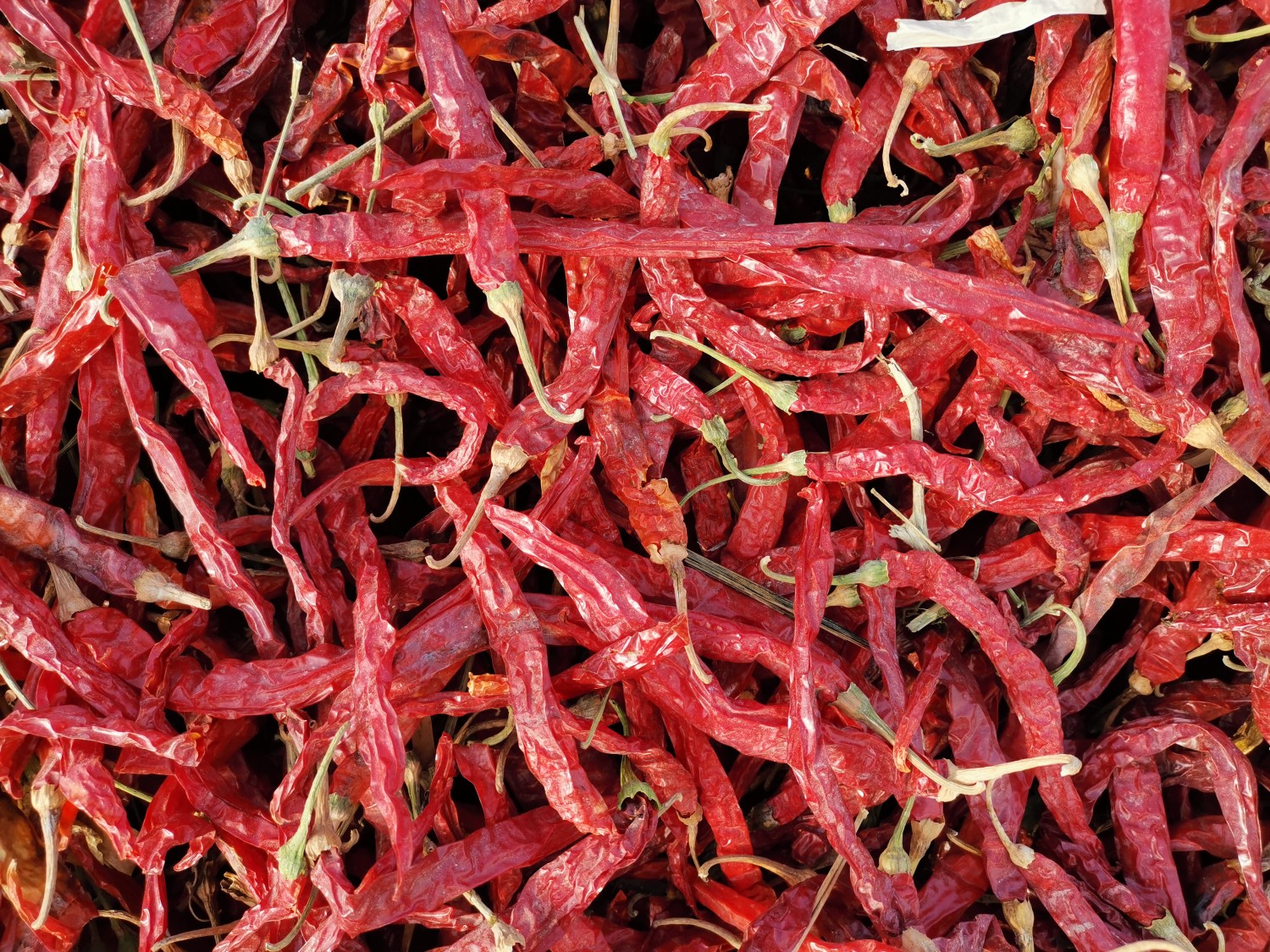 本人有80吨二荆条出售