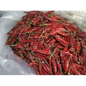 贵州合作社自种艳椒