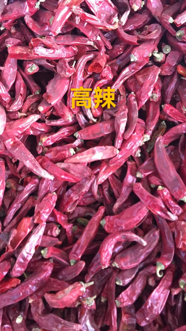美国红 红元 红农23精品剪巴椒[11-16]新疆蒙古