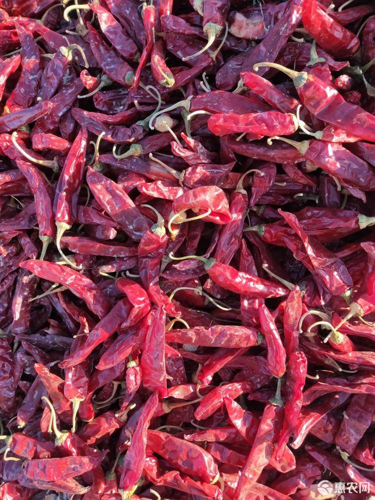 中椒网_辣椒价格,辣椒行情,辣椒供求等信息平台.