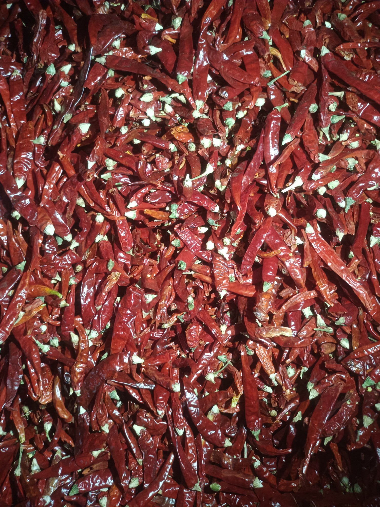 中椒网_辣椒价格,辣椒行情,辣椒供求等信息平台.