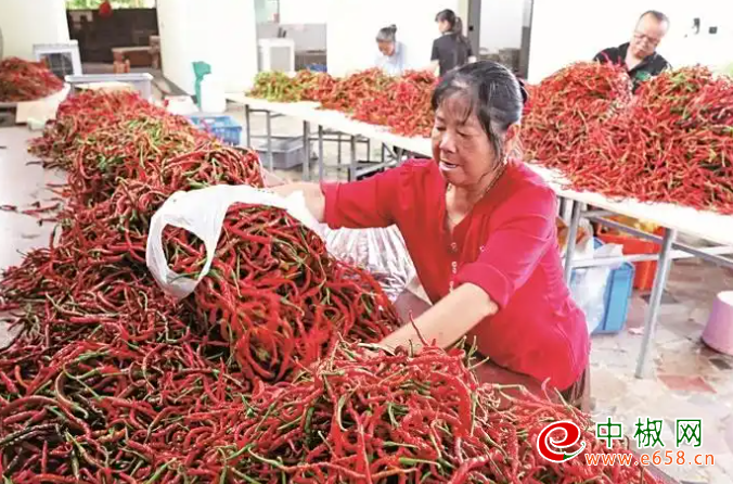 辣椒
