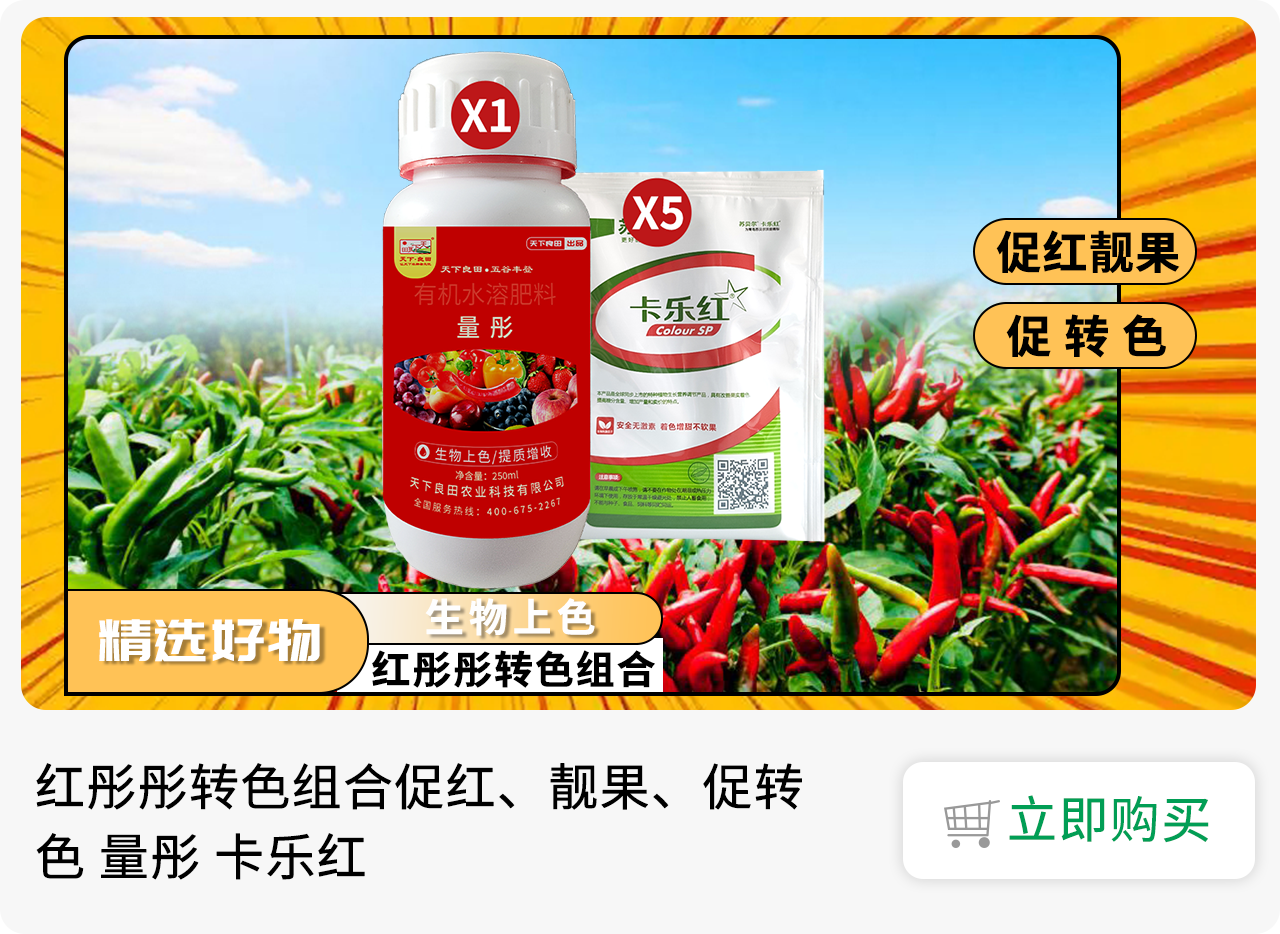 红彤彤转色组合