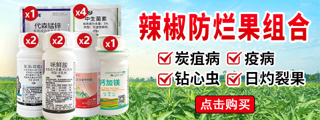 辣椒防烂果组合