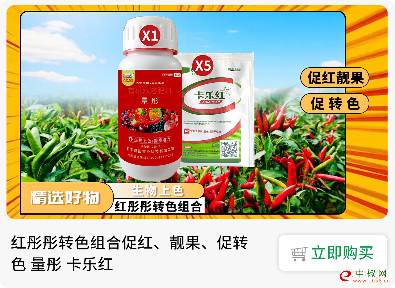 红彤彤转色组合1280-934