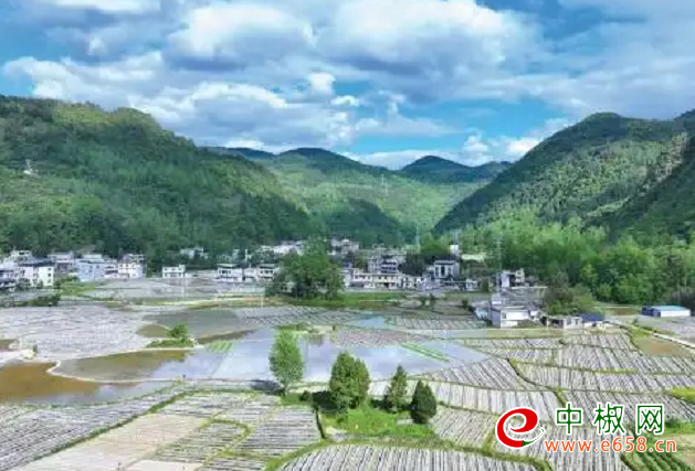 辣椒